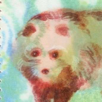 so_oy02's profile picture. Illustration | Animation | Ceramics