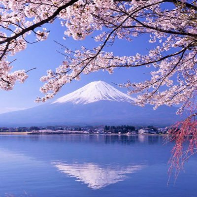 yosikaz256771's profile picture. 