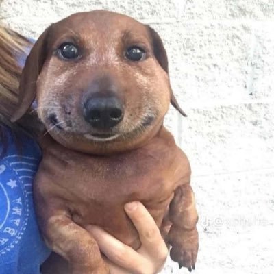 howtobenice1011's profile picture. 