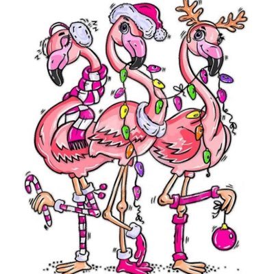 addie_1122's profile picture. 🏳️‍🌈 Blue “No matter what people tell you, words and ideas can change the world” Robin Williams #AcceptingTipsForWasherTY @addiecakes420 husband