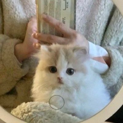 N579PKGXTP4317's profile picture. 