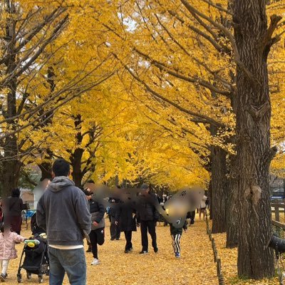 junichi0106h's profile picture. 是非ともブロ解してください🫩💦