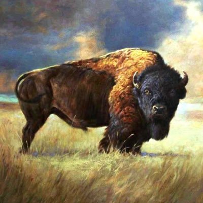 Breno86650849's profile picture. Breno Benoliel