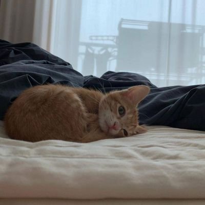 idk6666kj666666's profile picture. 