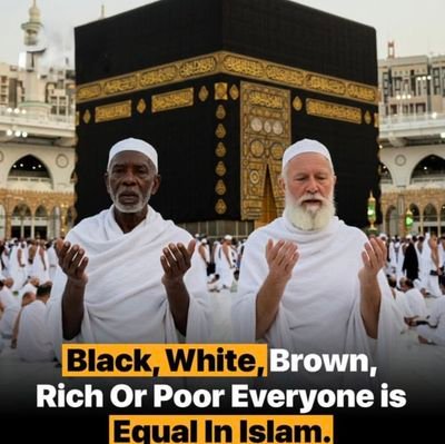 BBdallh16663's profile picture. 