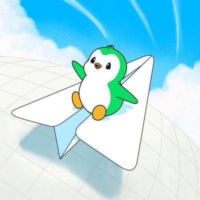 ceo_xyz's profile picture. Gas fees hate me, Abstract loves me (soon) 🐧 | Creator app pending but my vibes are already live…