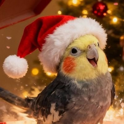 okamesorao's profile picture. オカメインコのそらおです！20歳のノーマルパール男子です！今消えてたパールが戻ってきてるお年頃！　#お達者パール　闘病中だけど元気にがんばってるよ！おへんたいてきはつは今はおやすみ中！