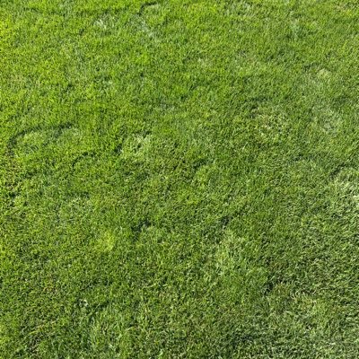 koyami6st's profile picture. スト担壁打ちアカ。箱推し。6人一生一緒に居て。