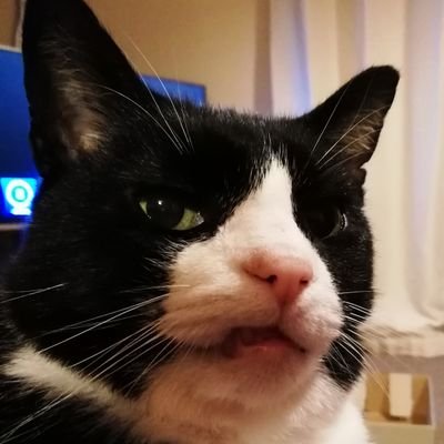 boudpou's profile picture. Love good music & good people.
Proud Bass member of #CologneSquad
Older fan of PTX & BTS, no dramas here.