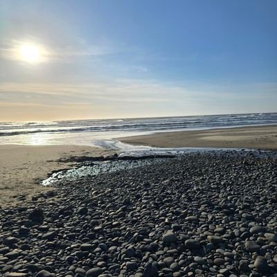 newleafdisaster's profile picture. 