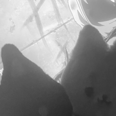 oct_wd's profile picture. 20↑ 成人済 高卒済