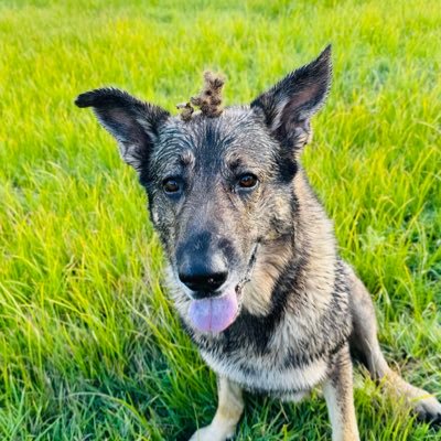 Kaneco08041621's profile picture. The best tool you can have is the ability to predict.