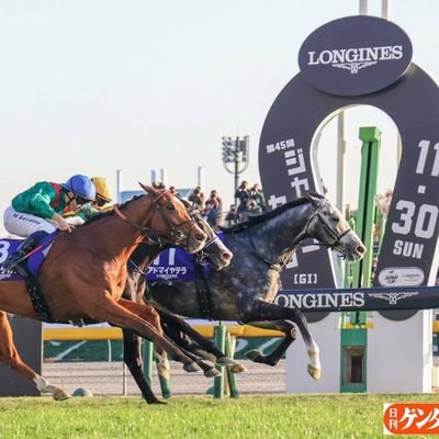 SportsCh4tter's profile picture. 