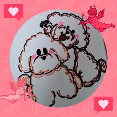 pooh715maru217's profile picture. プーさん♂12才❤まるくん♂９才❤
プー＆まる命！！
私の命同様
世界一愛する我が子

#トイプードル　#シニア犬
#犬
#愛犬　#愛猫　
#しっぽ会　#イエローリボン
#心臓肥大　#デカプー　#尿石　#脳障害　#白内障
のんびりXやってます。
＊返事は遅れます。