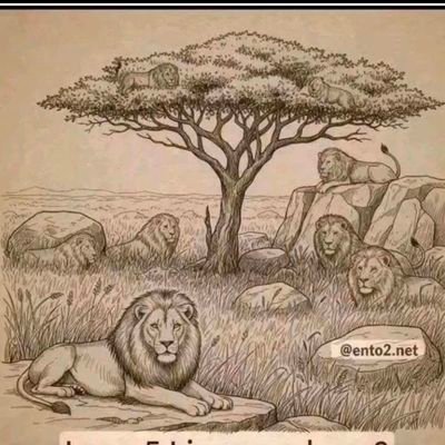 kpqmg97982239's profile picture. Stop loss got eaten, panic activated fast