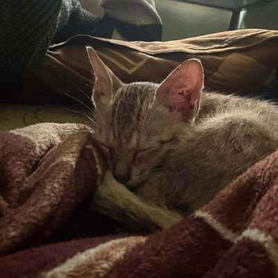 DemiGod1409's profile picture. 