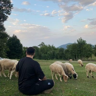 alirezax76's profile picture. 