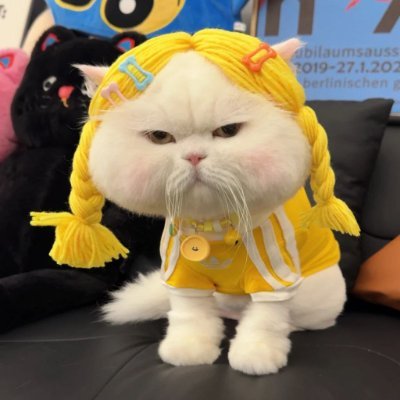 Shivani30096450's profile picture. 