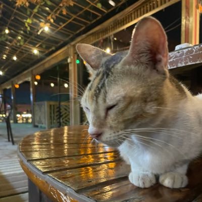 TheNameBhai's profile picture. A internet guy.
Sys-Admin.
Newbie Domainer.

https://t.co/ixp9TNPsJO | https://t.co/fDjjw861rA | https://t.co/IK7HzLyVoa | https://t.co/9SkJewupTz | https://t.co/riAtl1x7Il | https://t.co/dQb5PO3U9f | https://t.co/qHE3OQr4dV