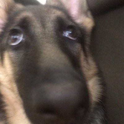 venkpng's profile picture. Illustrator / Contact: vvvvenkman@gmail.com
All links: https://t.co/rLzAJx86Po