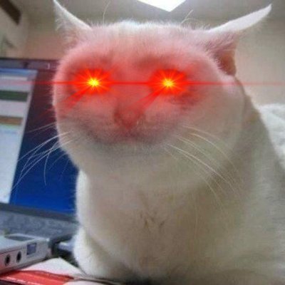 Cudan_Svat's profile picture. Head of Degenerate trading @StarkWareLtd