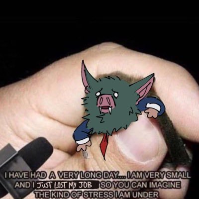 TomCottonFan01's profile picture. 