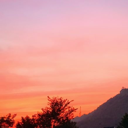 kknft0's profile picture. 