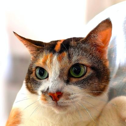 arr_ant's profile picture. Mobile Photography