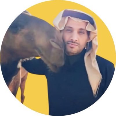 AbuRakagl's profile picture. باحث في تاريخ النصر والكره العالمية