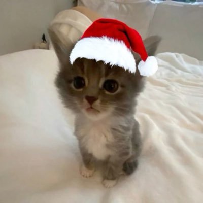 briybeary's profile picture. i stream val | WoW addict | ex gc valorant player | ♡︎