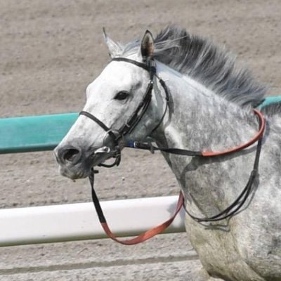 AvimanyuRoy3's profile picture. 