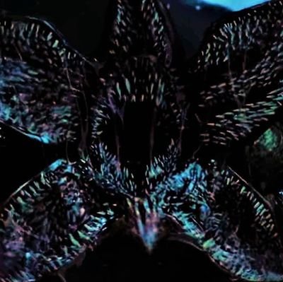 Luckyxfe's profile picture. My only hit tweets are my replies 🥲 | #DCcomics | #Marvelcomics | #Digimon | #Kamenrider | #Boruto | #strangerthings | Superbat shipper | Tokusatsu fan