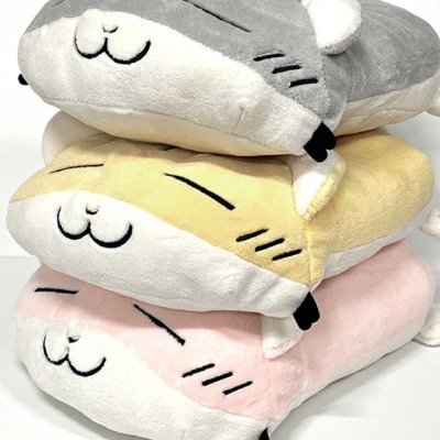 szvkx's profile picture. 들개