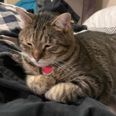 rinnnaszzploc's profile picture. Lisa Rinna + Derek Vincent Smith stan acct | 30 something