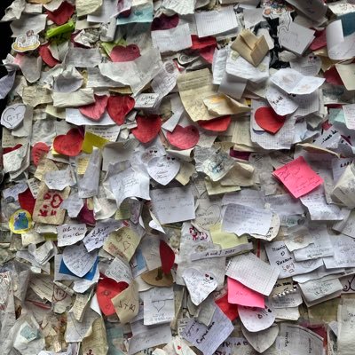 Brooke04816312's profile picture. 