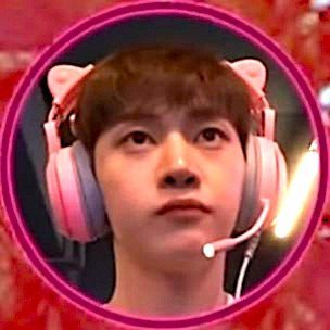 geegeegioo's profile picture. 🌺 This user loves Seok Mattchu | 19 He/Him 🌺