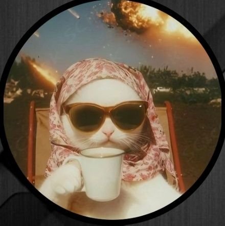 WangLeiLabongo's profile picture. It was always part of the plan📌