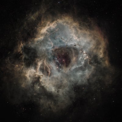 bakedswordsman's profile picture. 