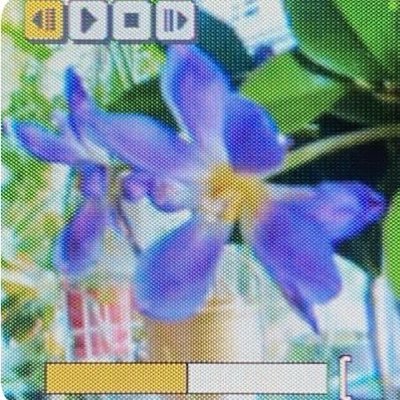 prxzlos1's profile picture. 