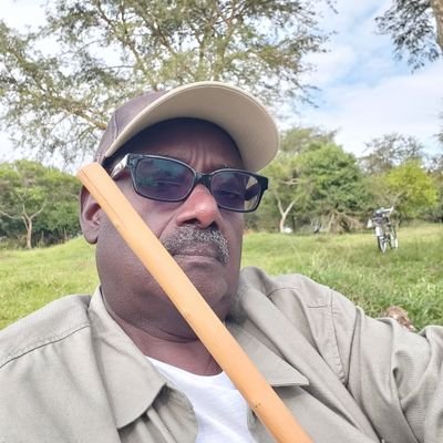 sejudav's profile picture. 