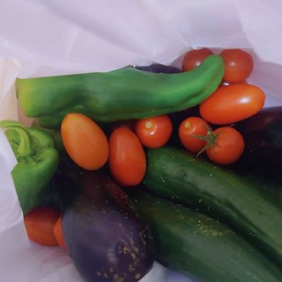 tsunokagome's profile picture. 趣味で詩の創作をしています。普段は会社員です。