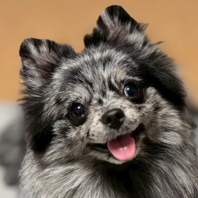 9chan9wokudasai's profile picture. 仮想通貨、株、金、投資信託、ポケカどこまで資産を増やせるか。。。😇