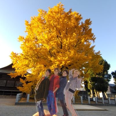 ペンギン🦐🌻😎😎😎😎🐼 (@ten_chan625) / Posts / X