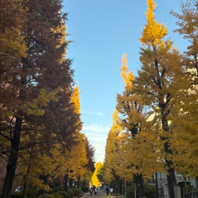 Rhuu_iv's profile picture. 02 🏀