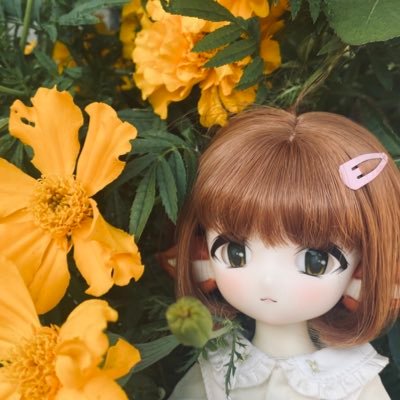 yomoginotetyou's profile picture. BL一次創作小説「月下のもと、彼岸の金魚」https://t.co/dCquMiyvDq 創作関連や趣味のドル活について雑多に呟きます📚あまむす/myou doll/Tiny fox/Tinyちゃん大好き💕