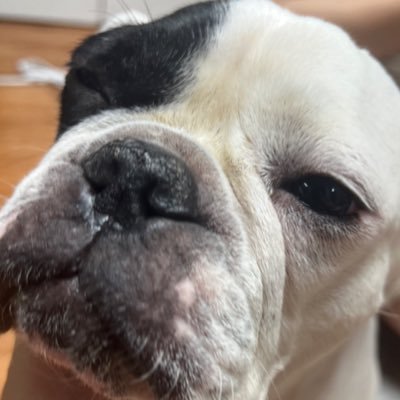 P3Ace_7's profile picture. 잡덕용 계정 지금은 포사켄 위주 / 비계: @hapeong777                                                      푸슝: https://t.co/zJNrJ8rSTz