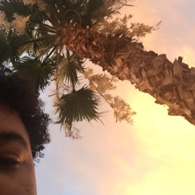 Qintellect_'s profile picture. 