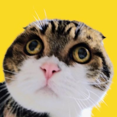 4kPLcXXllxUv4xa's profile picture. 落語、講談、浪曲、歌舞伎など福岡市の古典芸能についてつぶやきます。漫才コンビぬいぐるずのファン。＃農民。美味しい物も大好きです。 「福岡で生の落語を聴く会」の主催もしています。ヘッダー画像はジャワ更紗Reisiaさんの『遥かな音色』