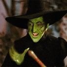 SusanNo51541763's profile picture. Pray for peace ✝️
🙏 ☮️ ❤️ 🇺🇸 🌍🚀