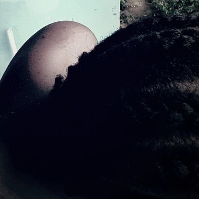 Kareemfrmmil's profile picture. ﷺ